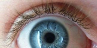 Un-implante-de-retina-podría-ayudar-a-detectar-el-movimiento-en-pacientes-ciegos