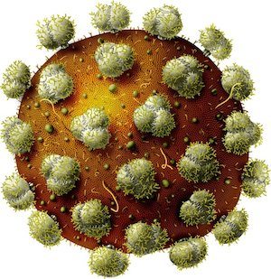 Virus-VIH