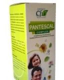 cfn_pantescal_complex_jarabe_250ml