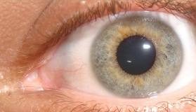 color-ojo