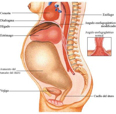diabetes_gestacional